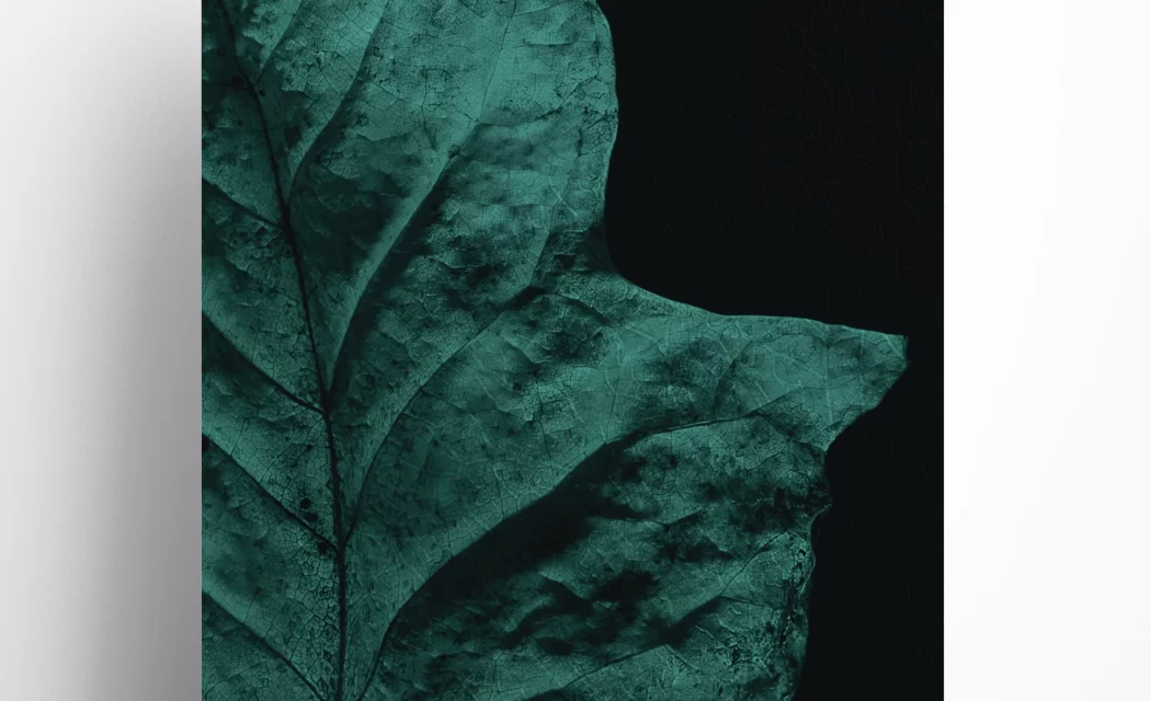 Instant - Magnified view