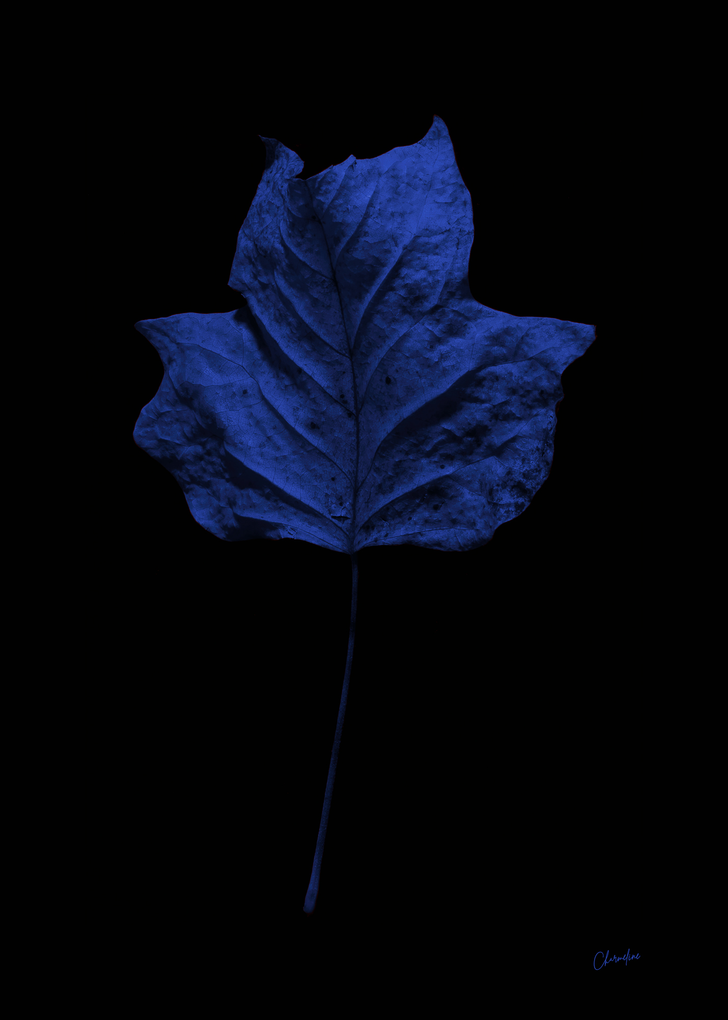 Blue-Presence