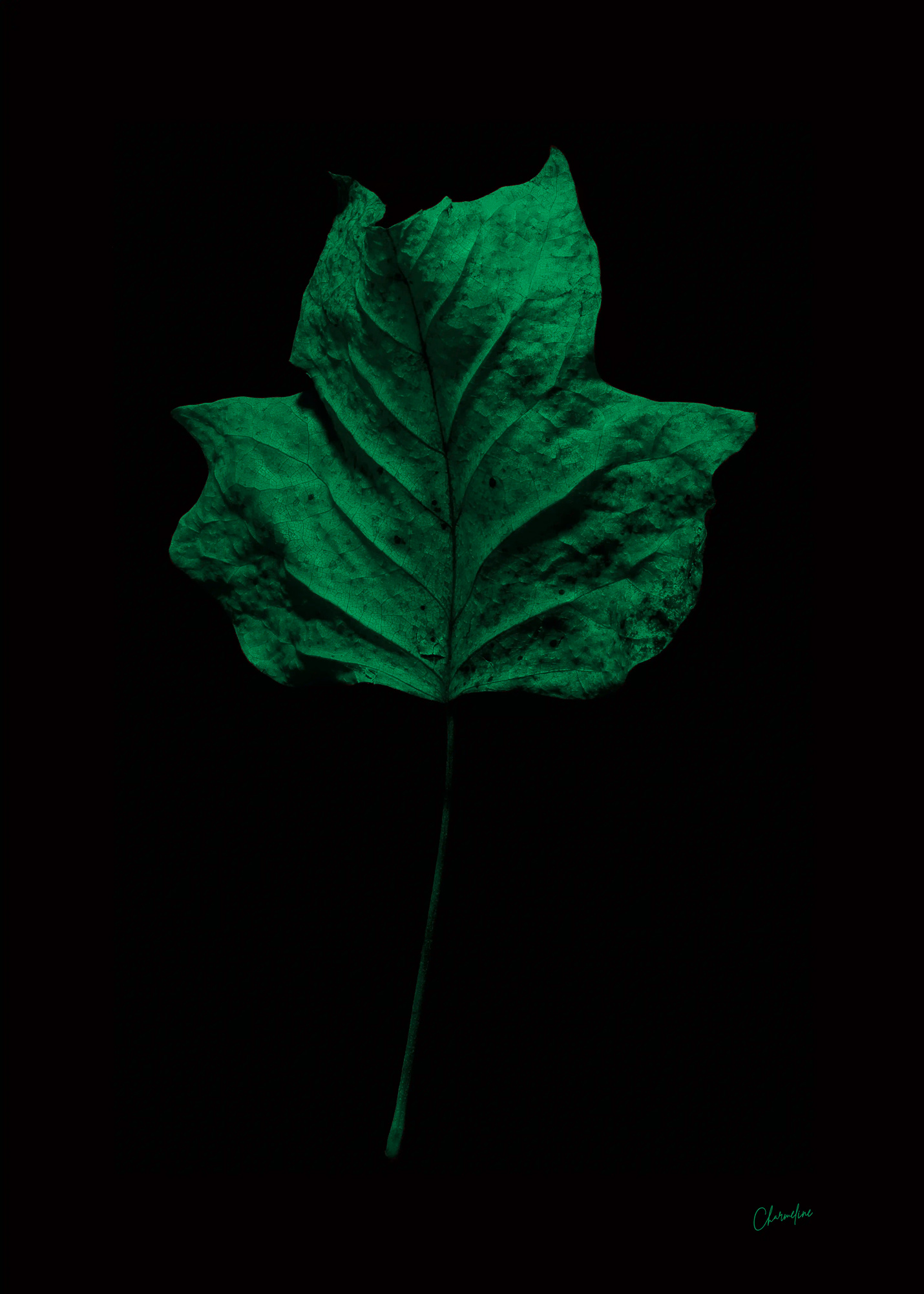 Green-Presence