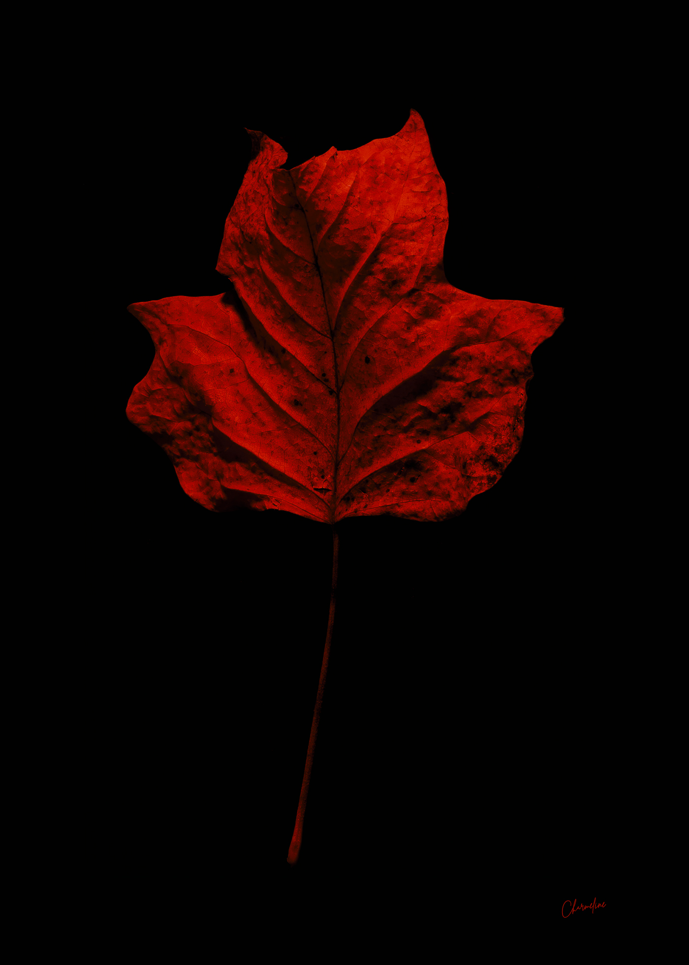 Red-Presence