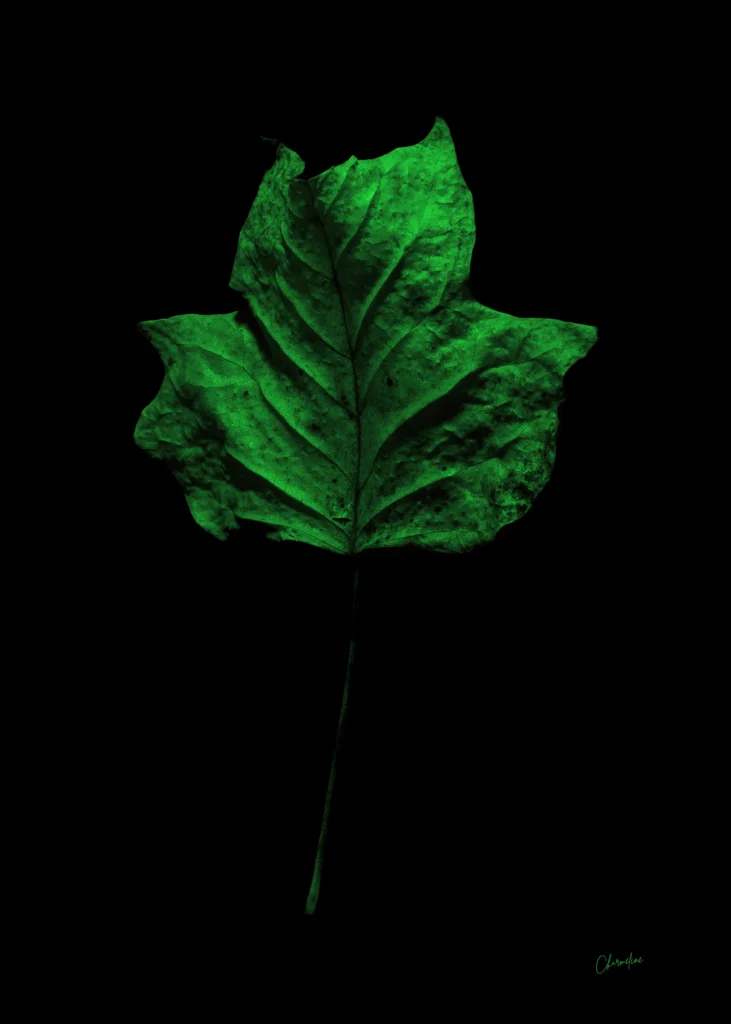Green Presence