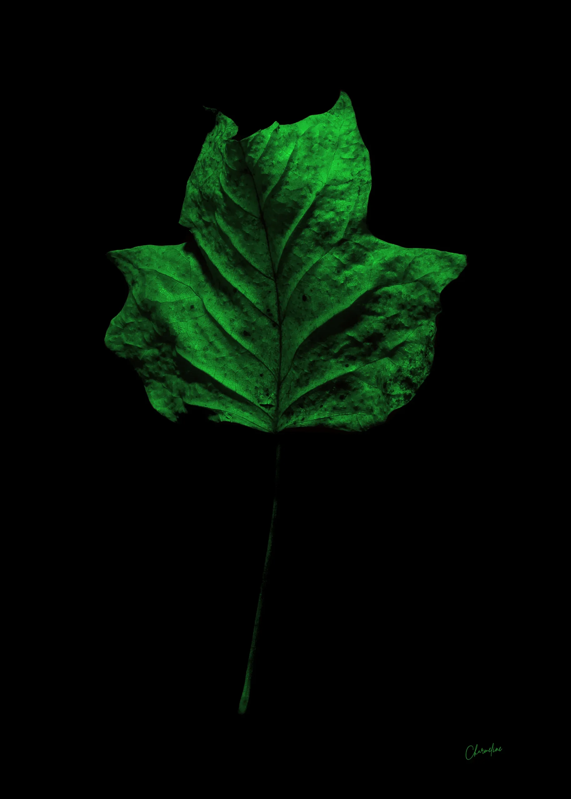 Green Presence