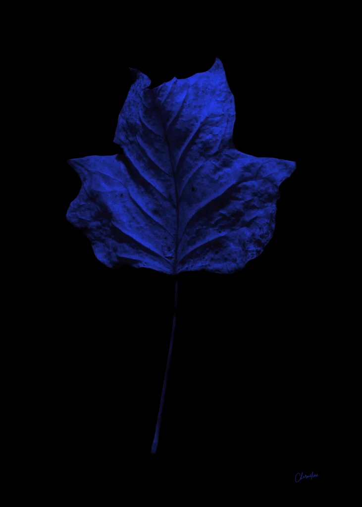 Blue Presence