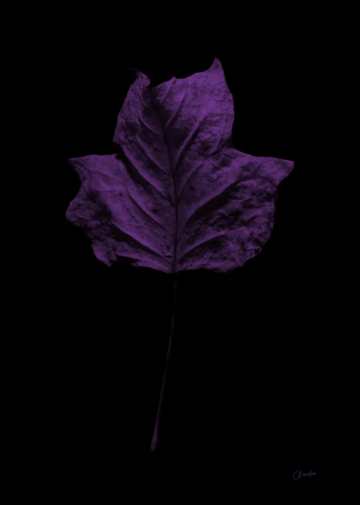 Purple Presence