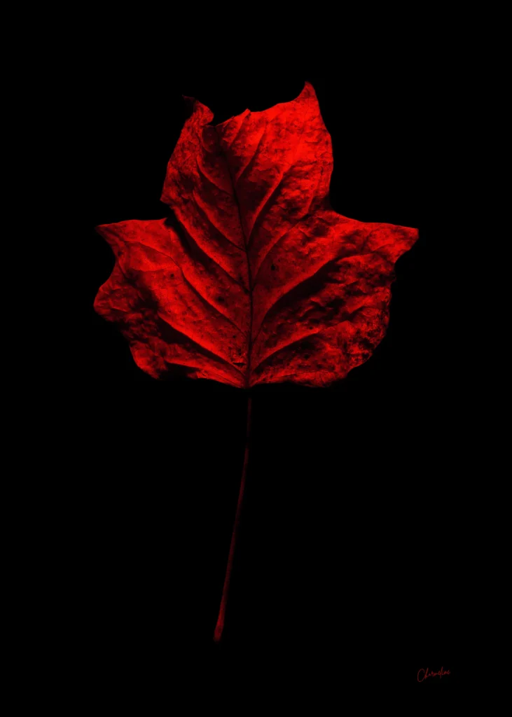 Red Presence