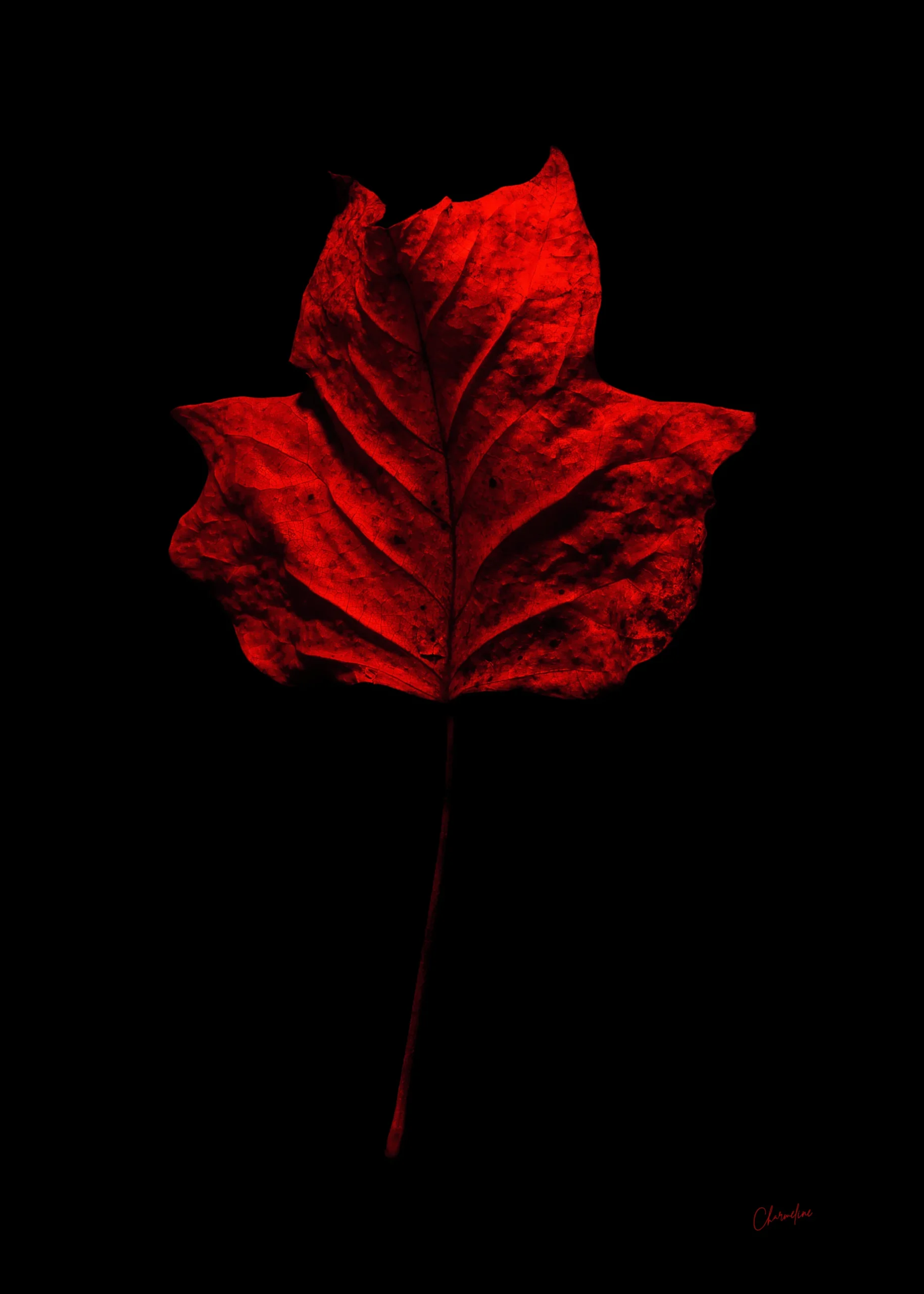 Red Presence